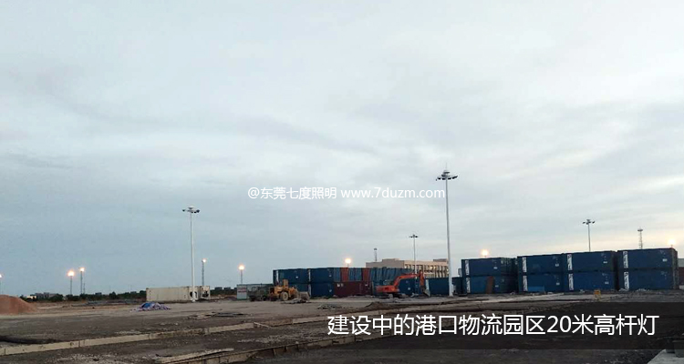 建设中的港口物流园区麻豆成人片安装效果展示